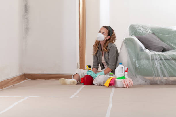 Reliable Crawl Space Mold Removal contractor in Goodlettsville, TN by WQB Mold Removal